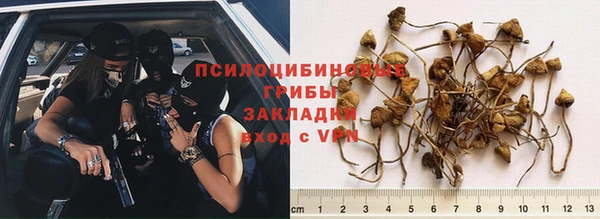 ECSTASY Баксан